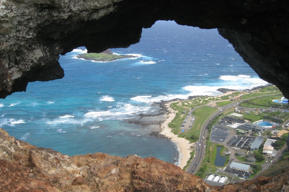 Sea Life Park Hawaii - Gallery Image 2